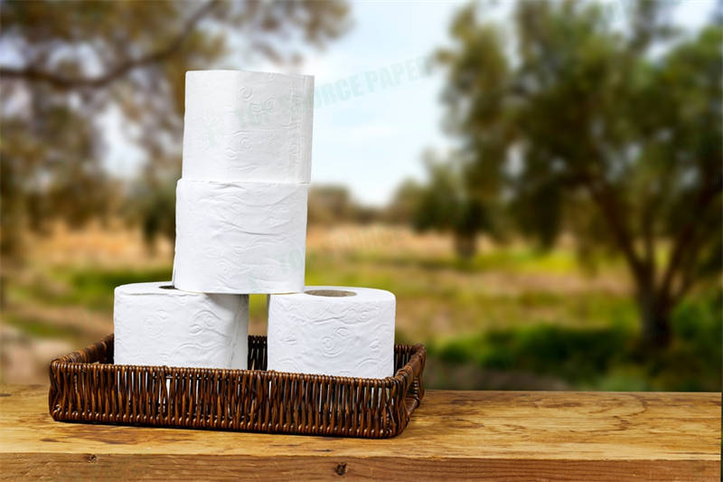 Toilet Paper Tube Length: