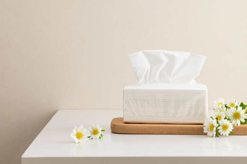 How to Make Toilet Paper 